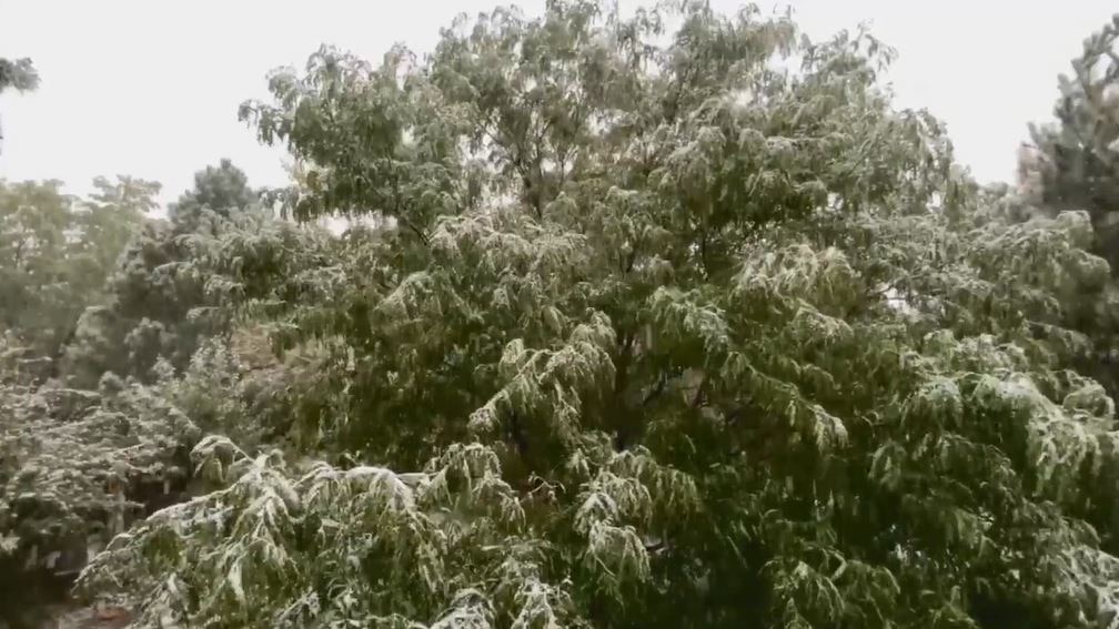 Snow in Highlands Ranch, Colorado