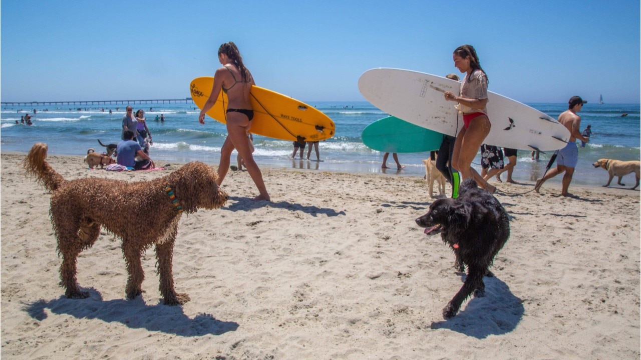 CPC predicts above-average temperatures this fall across United States