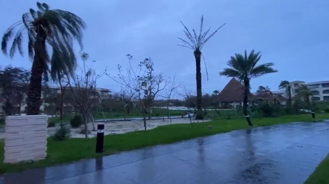 Zeta strips trees at Canc?n Resort