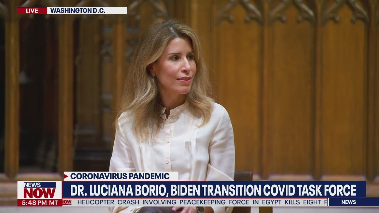 NIH Director Dr. Francis Collins and Dr. Luciana Borio, a member of President-elect Joe Biden?s coronavirus task force speak on a COVID-19 panel
