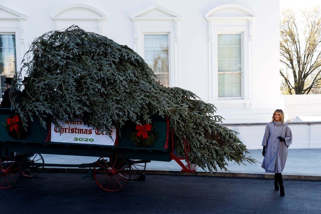 Melania Trump welcomes Christmas tree to White House