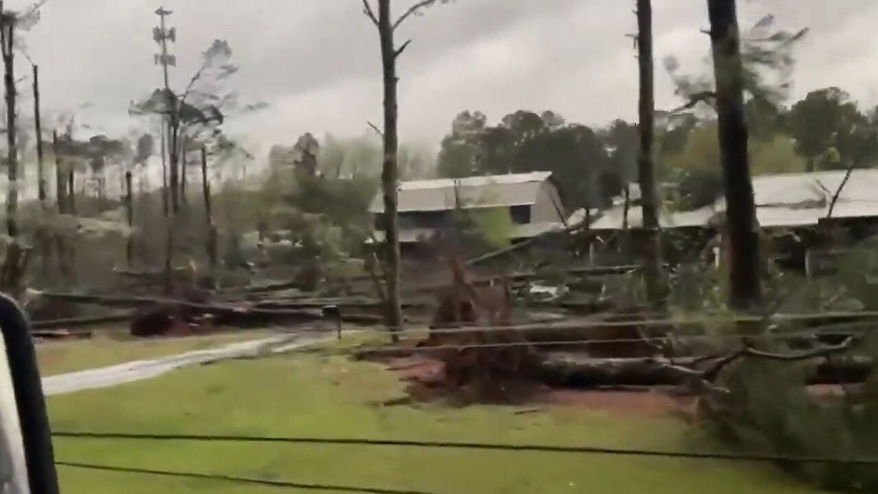 Driver surveys downed trees following tornado in Birmingham Alabama