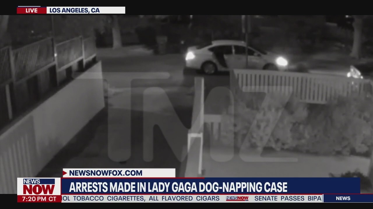 Lady Gaga dognapping: 5 suspects arrested for robbery, attempted murder of dog walker