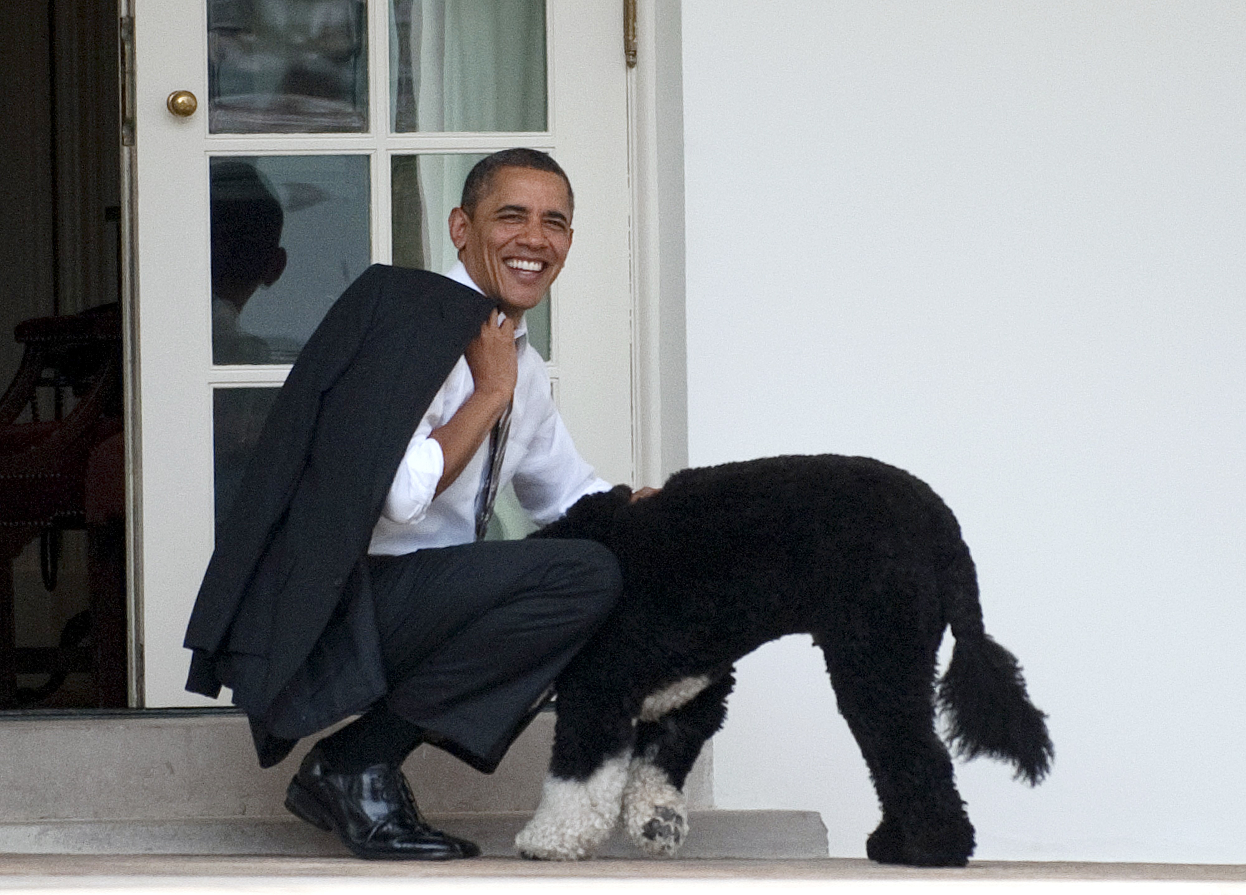 Bo, the beloved family pet of the Obamas, dies
