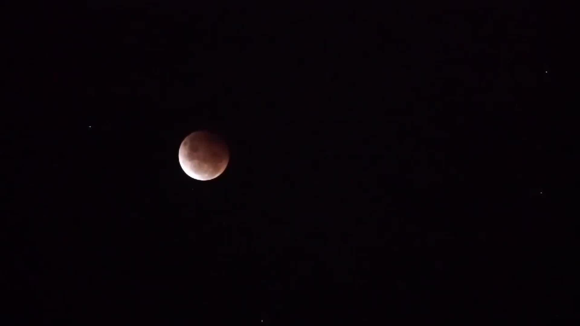 Super Flower Blood Moon dazzles in sky above Sydney