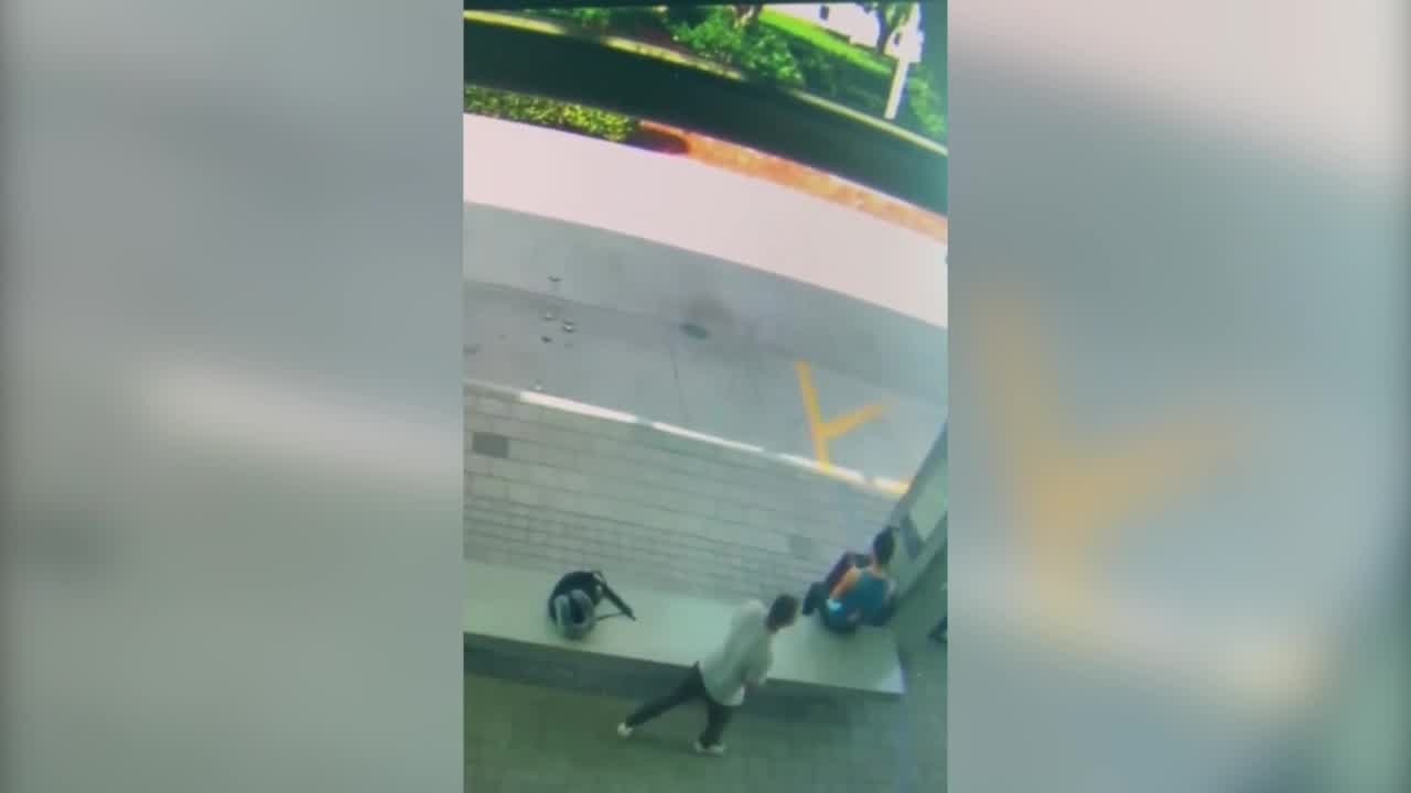 GRAPHIC VIDEO: Surveillance camera captures bus stop attack