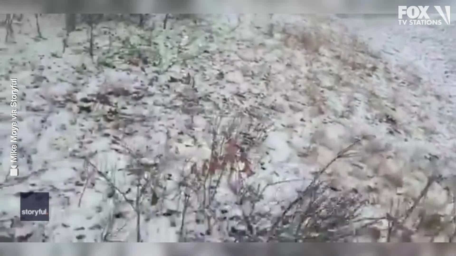 Videos captures portion of deadly pileup on Pennsylvania's I-81