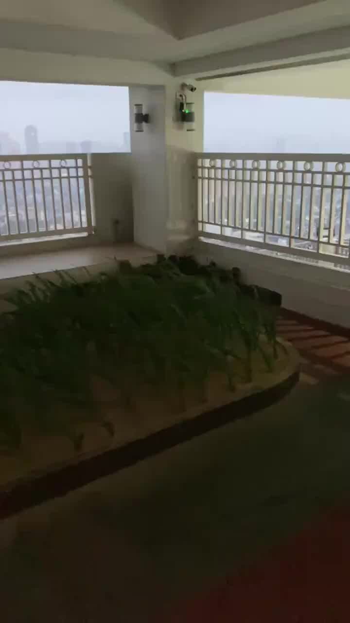 Heavy winds hit Quezon City as Super Typhoon Noru makes landfall