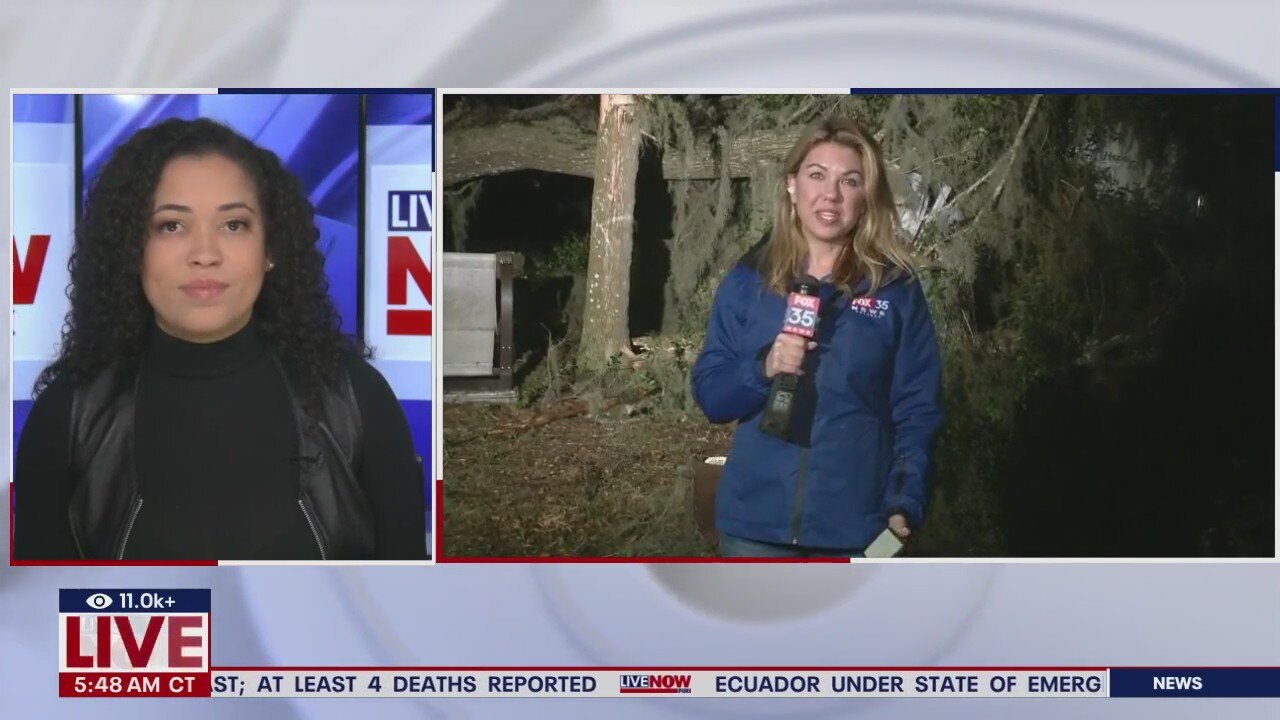 Tree falls on Florida mobile home