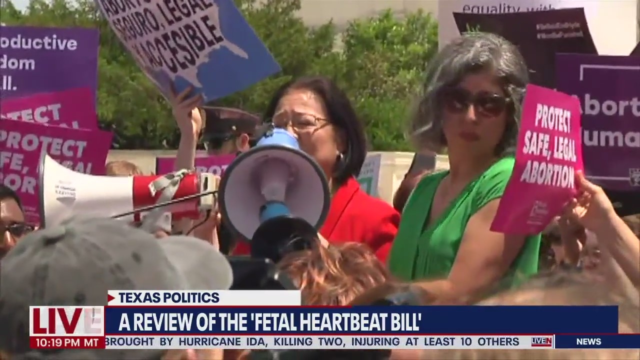 Review of the Texas 'Fetal Heartbeat Bill'