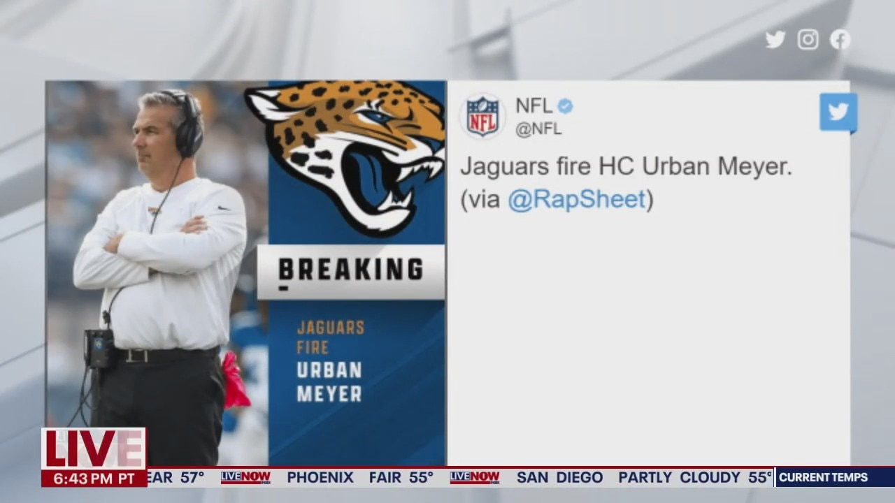 DAN ANDREW JAGUARS