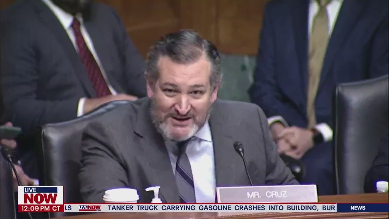 Ted Cruz slams federal judge nominee during tense confirmation hearing