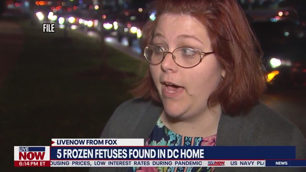 Five frozen fetuses found in woman's DC home: New details | LiveNOW from FOX