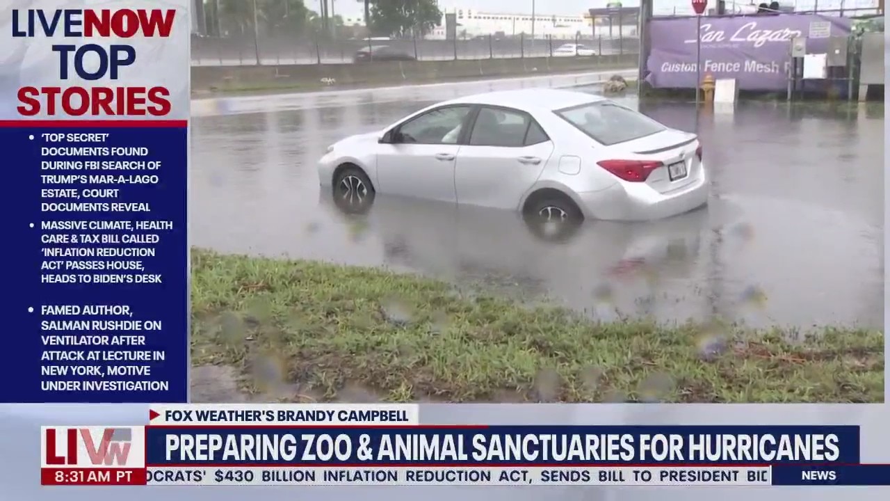 Zoos work to protect animals amid height of Atlantic Hurricane Season