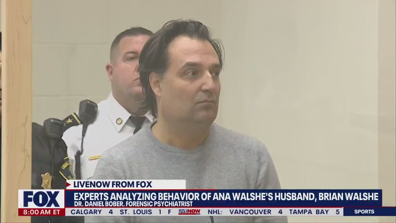 Forensic psychiatrist analyzes Brian Walshe's behavior