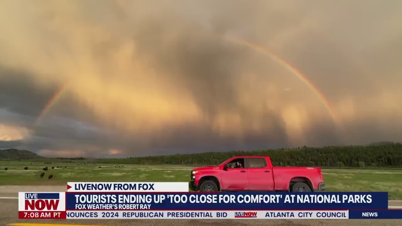 Tourists get 'too close for comfort' at parks