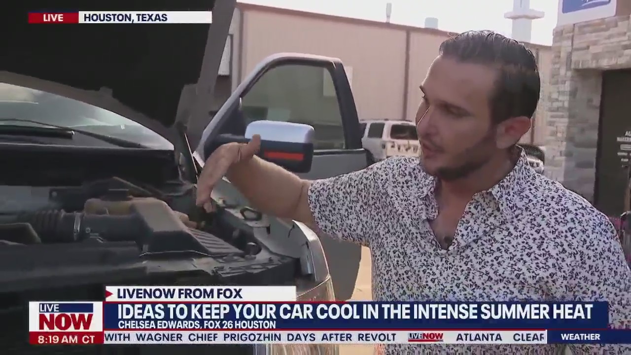 Expert's tips to keep your car cool