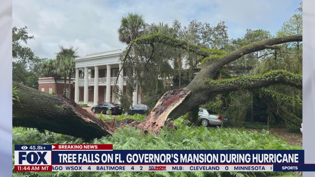 Tree falls on Florida Governor's Mansion
