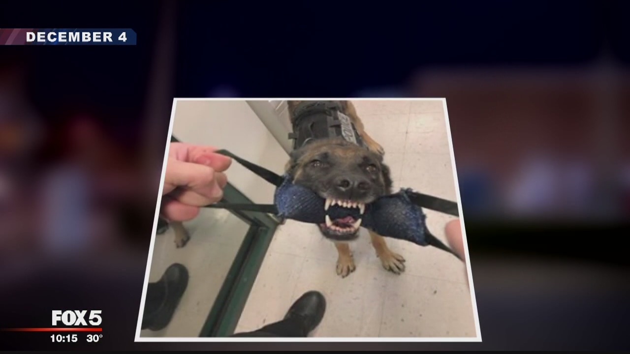 Officials looking for answers nearly 2 months after Takoma Park police dog attack