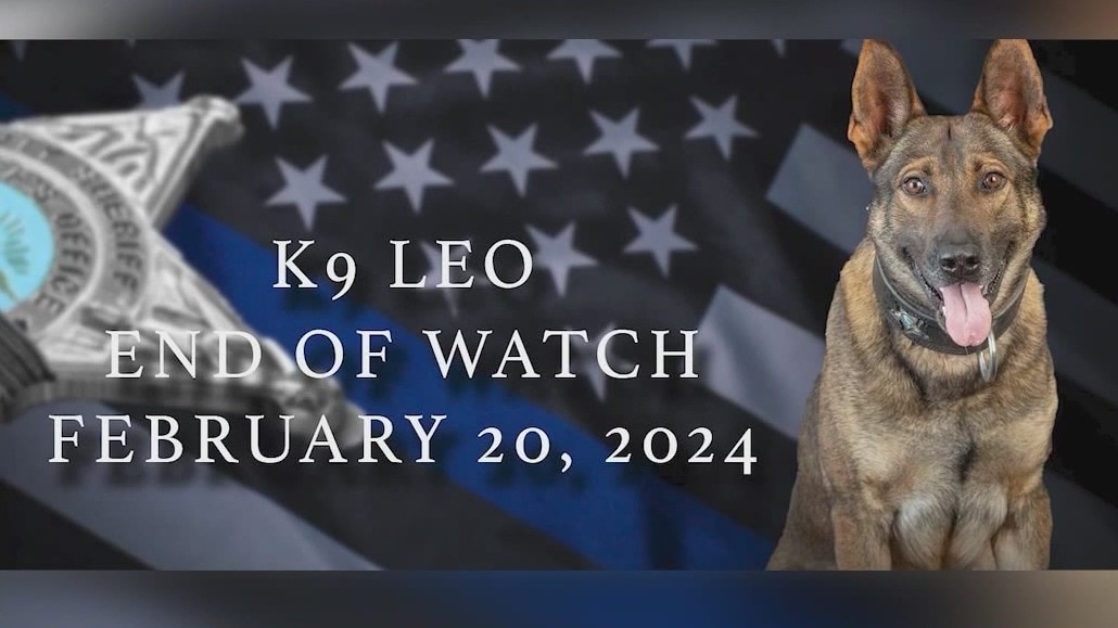 Florida K-9 deputy dies after being shot
