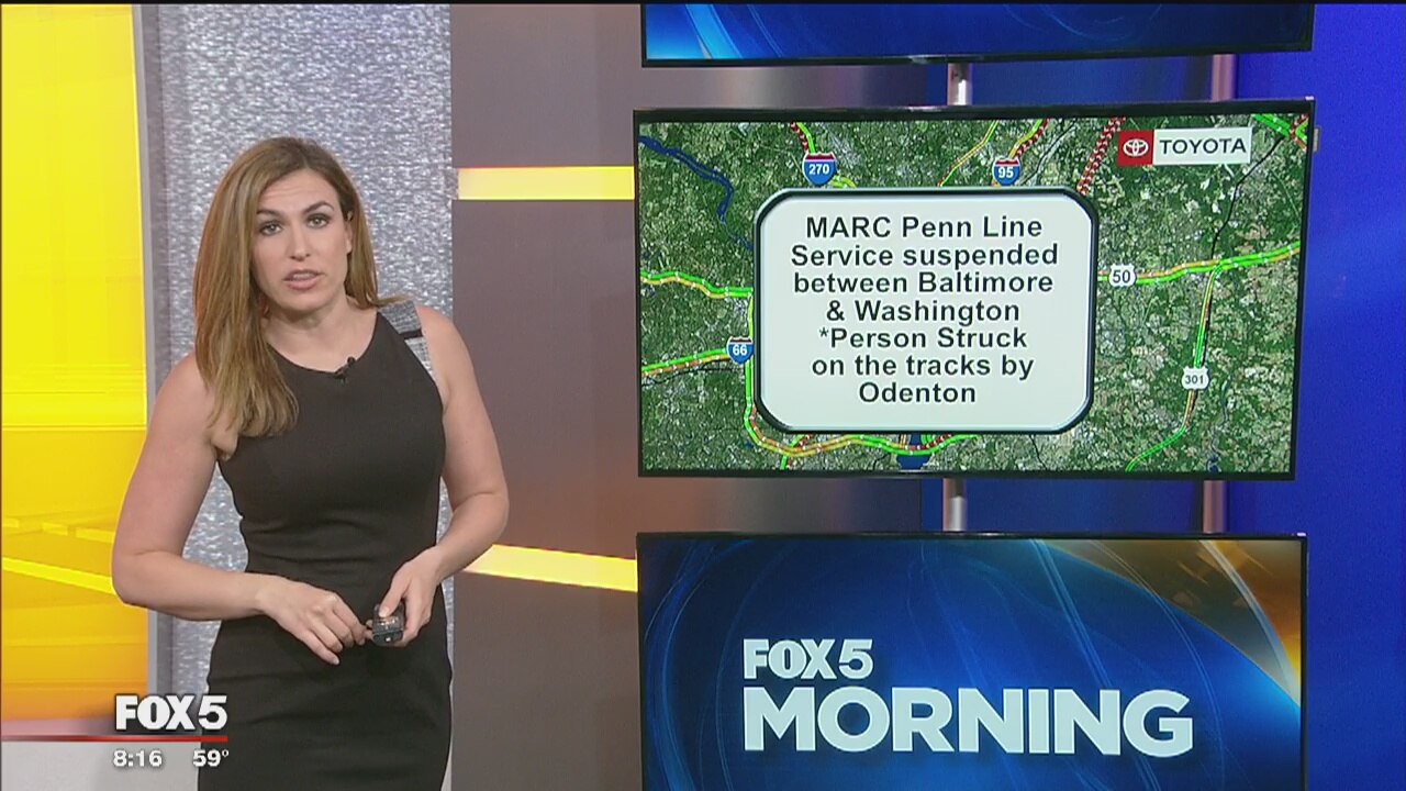 Rail delays after person struck on tracks near Odenton