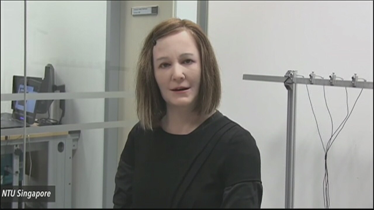Nadine the Robot