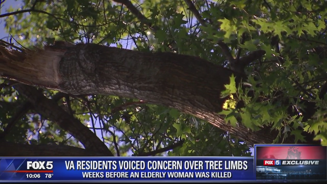 Residents voiced concerns over tree limbs before woman's death