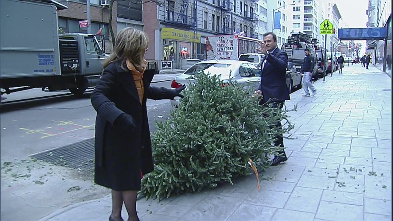 Christmas tree collection
