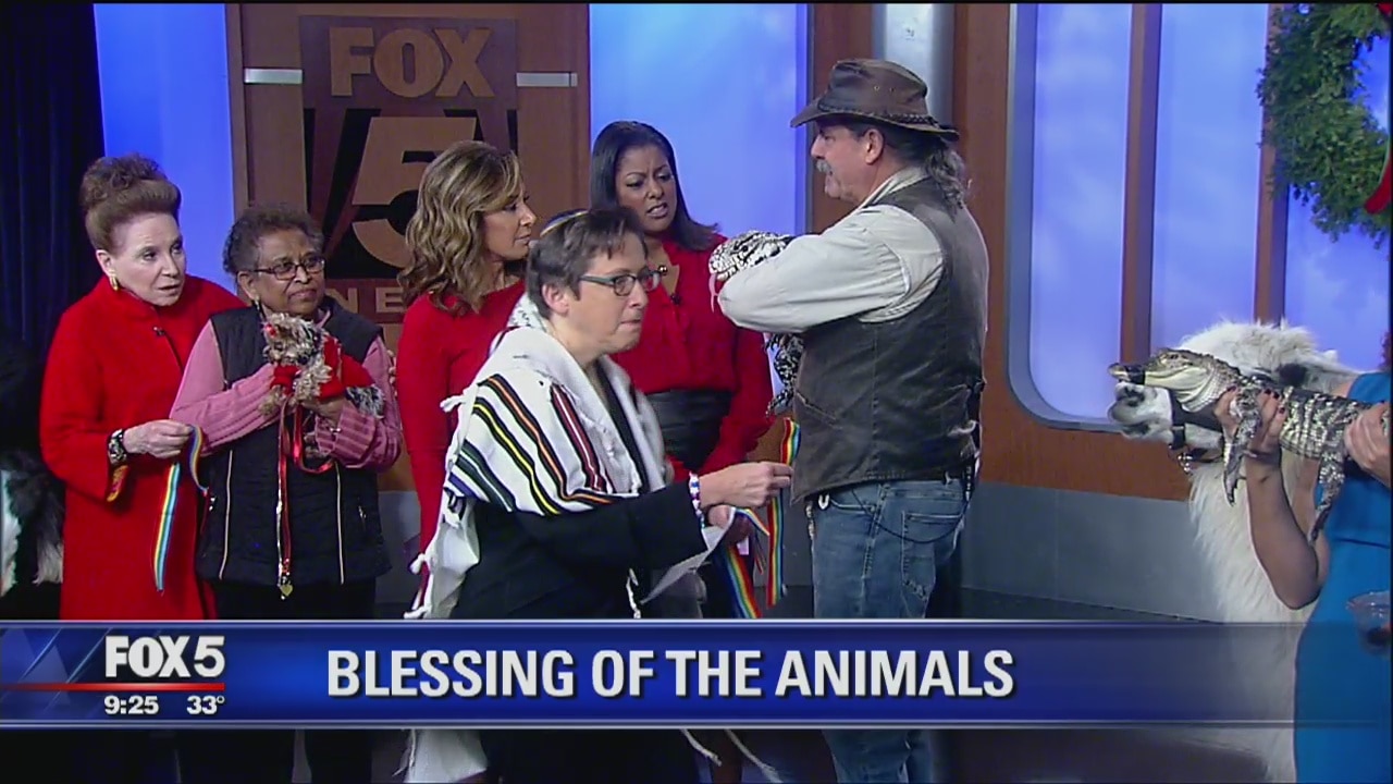 Cindy Adams previews blessing of the animals