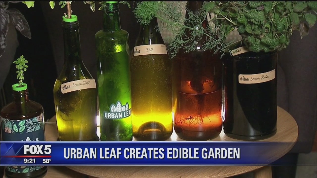 Urban Leaf lets you grow food in empty bottles
