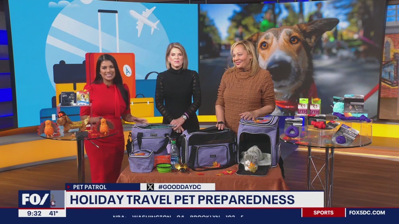 How to get your pet travel-ready for the holidays