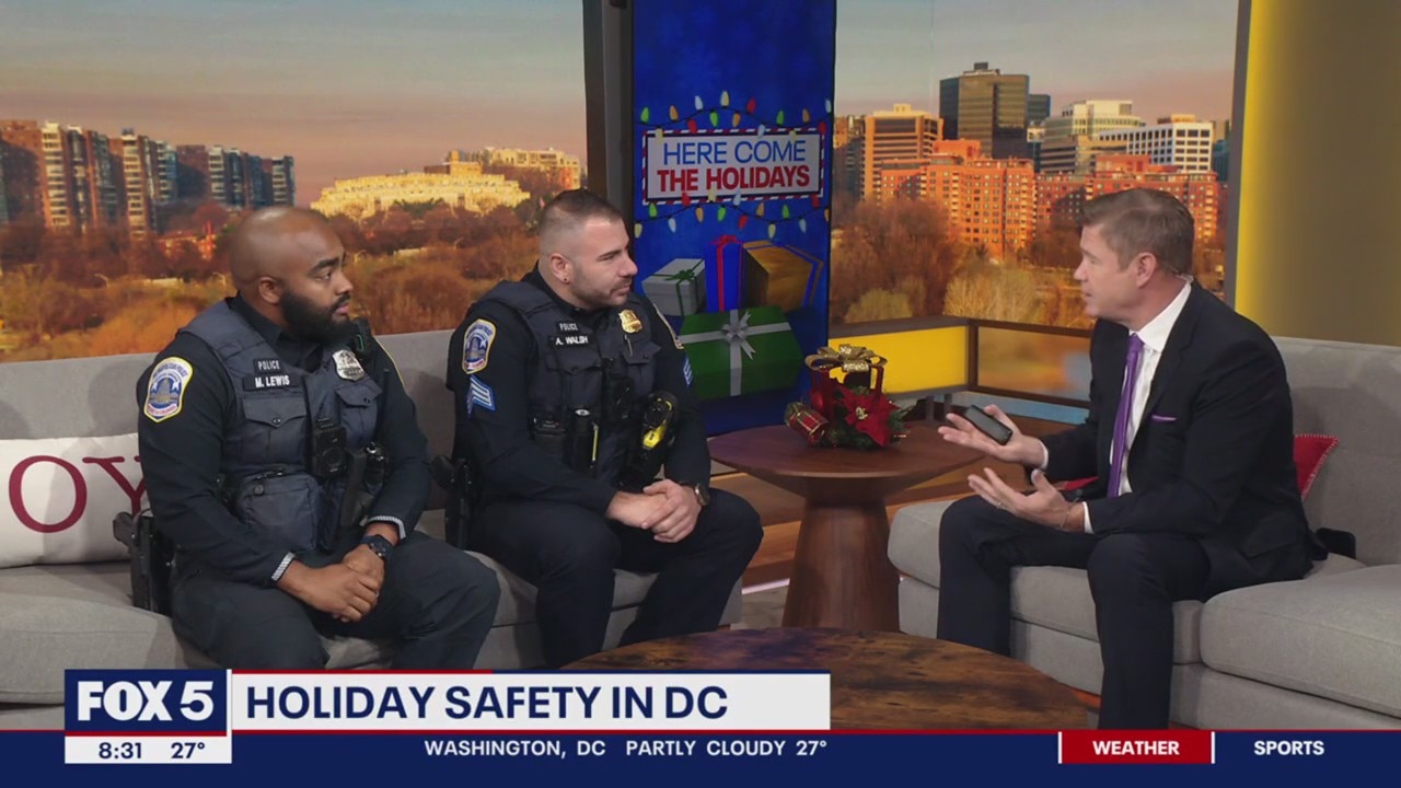 Curbing holiday package theft