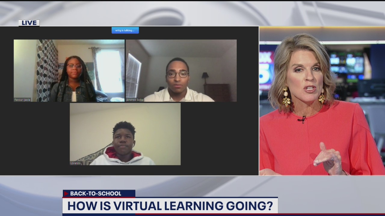 Rate the virtual learning experience