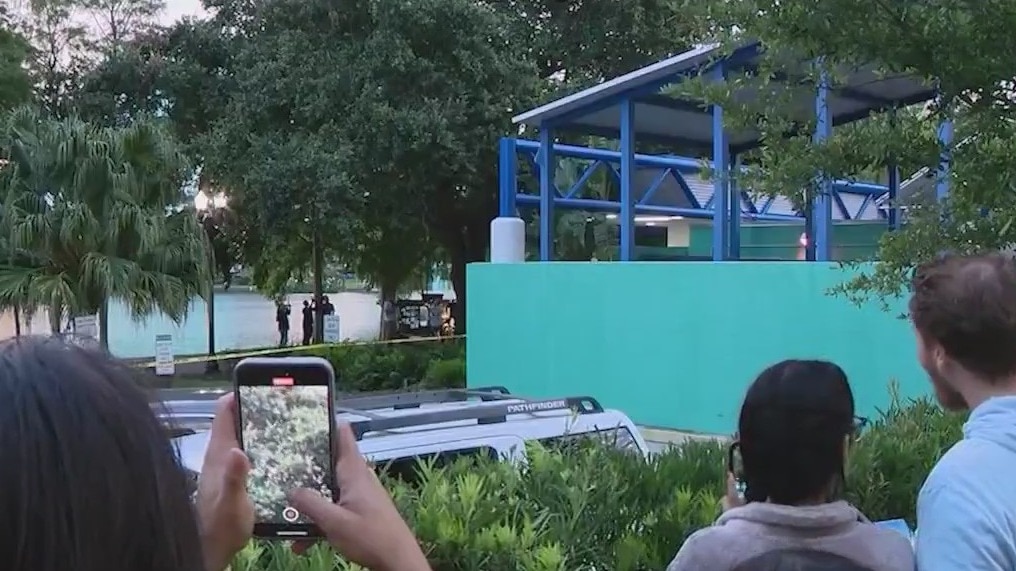 Bear watch: Here's the latest on wandering bear