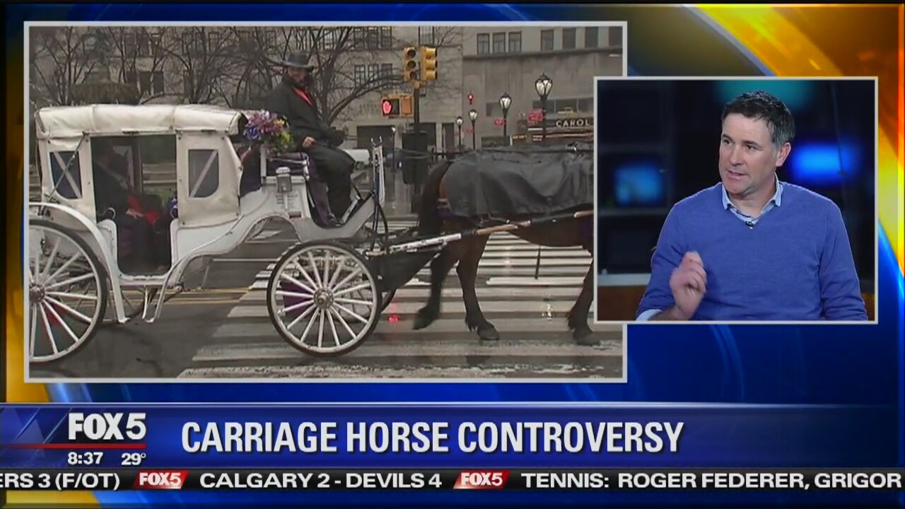 Horse & Carriage Driver Colm McKeever