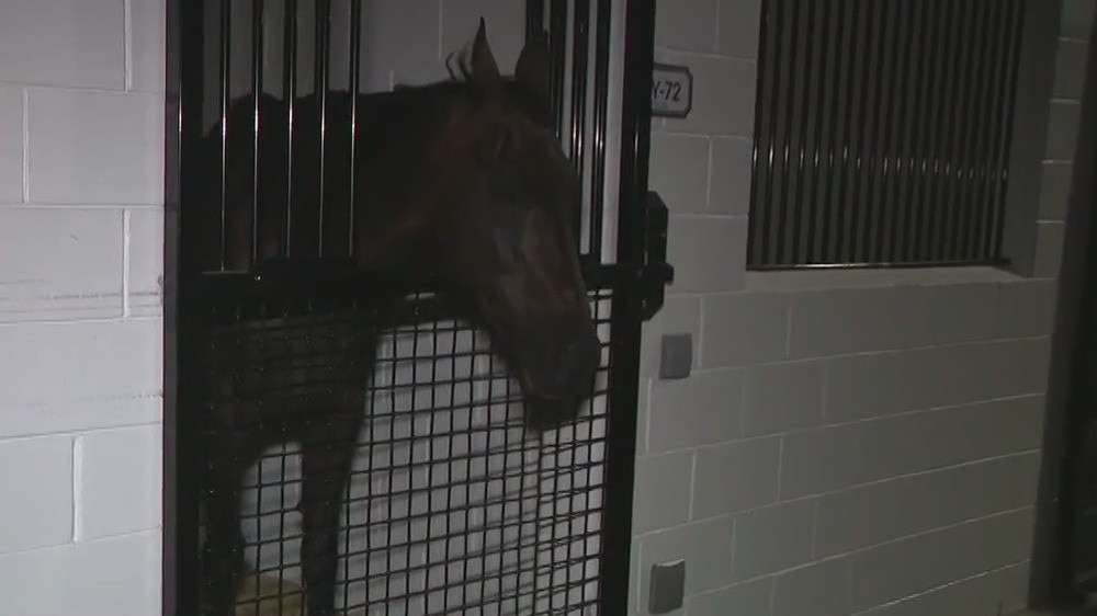 Tracking Idalia: World Equestrian Center