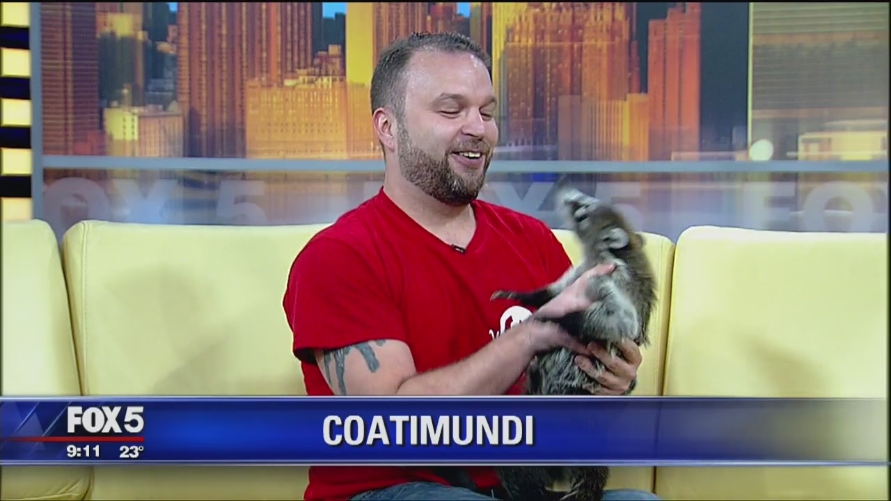 Exotic animals