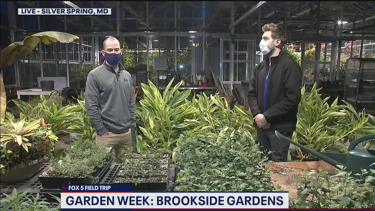 FOX 5 FIELD TRIP: Brookside Gardens