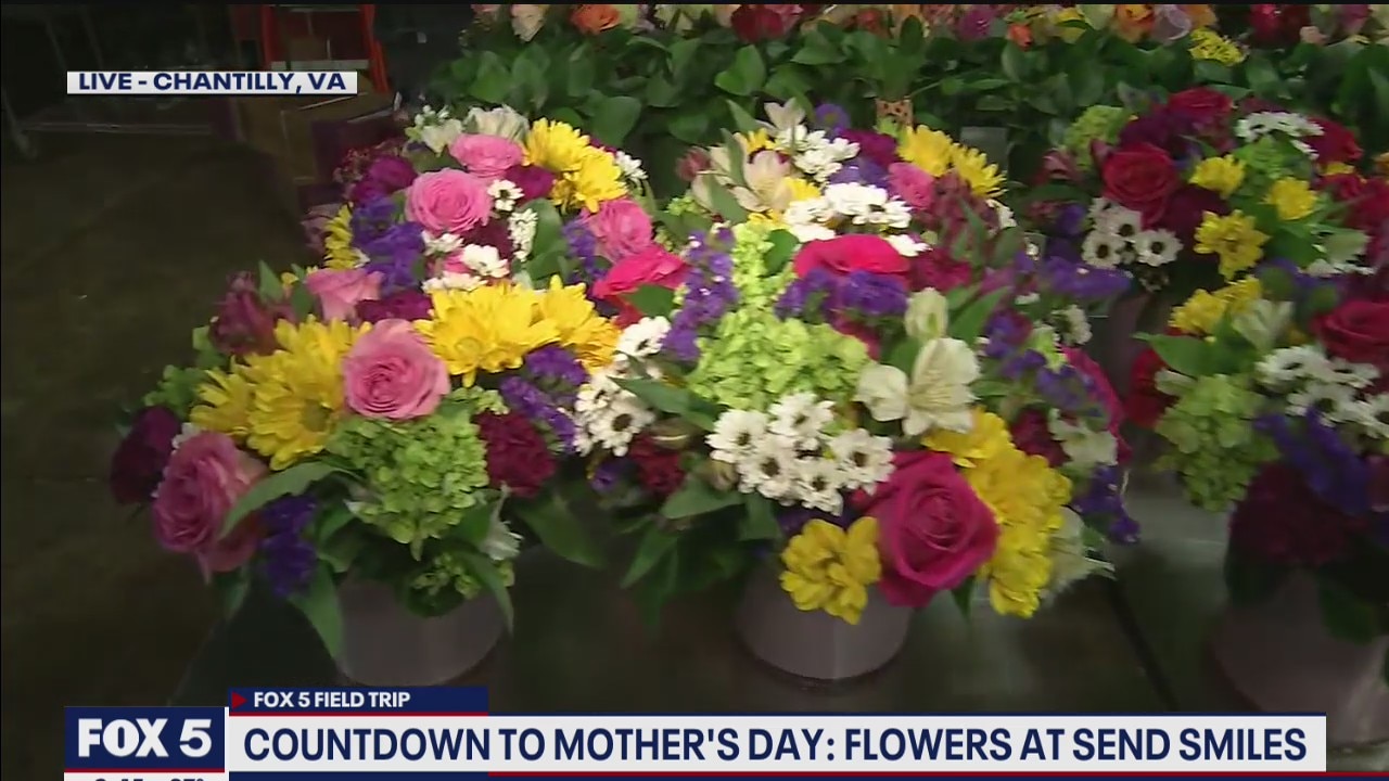 Preparing for Mother's Day: What kind of flower fits YOUR mom's personality?