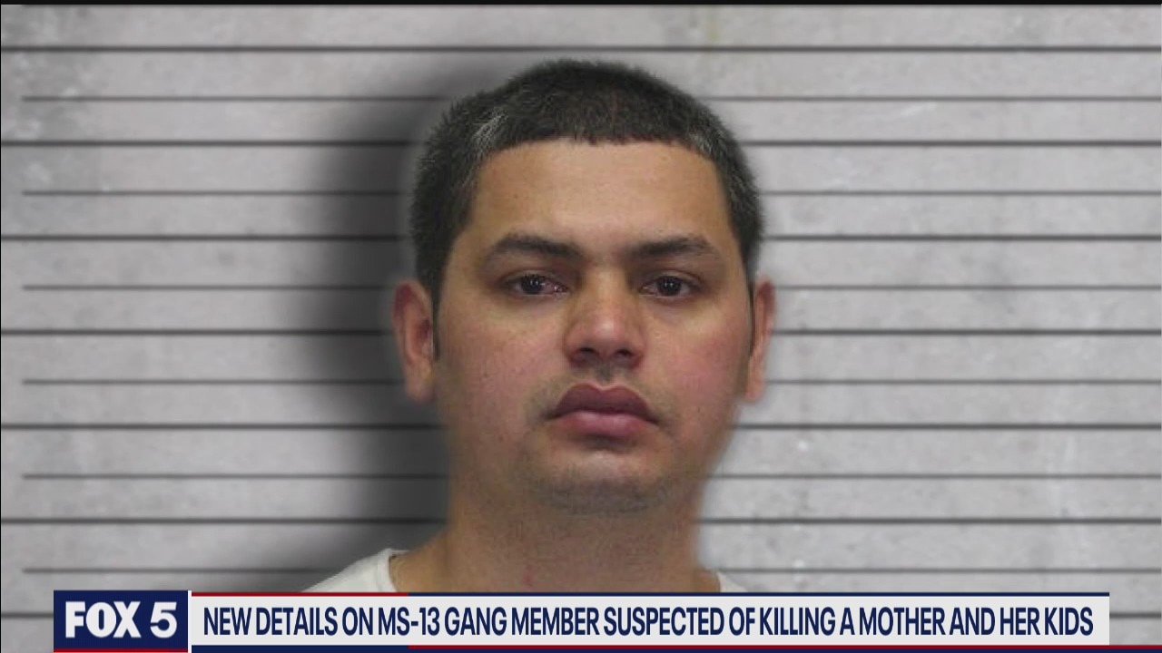 Convicted MS-13 gang member's suspended sentence prompting questions