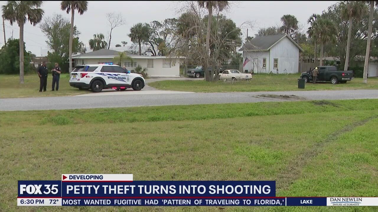 Man chased after alleged thief, then shot him in leg: police