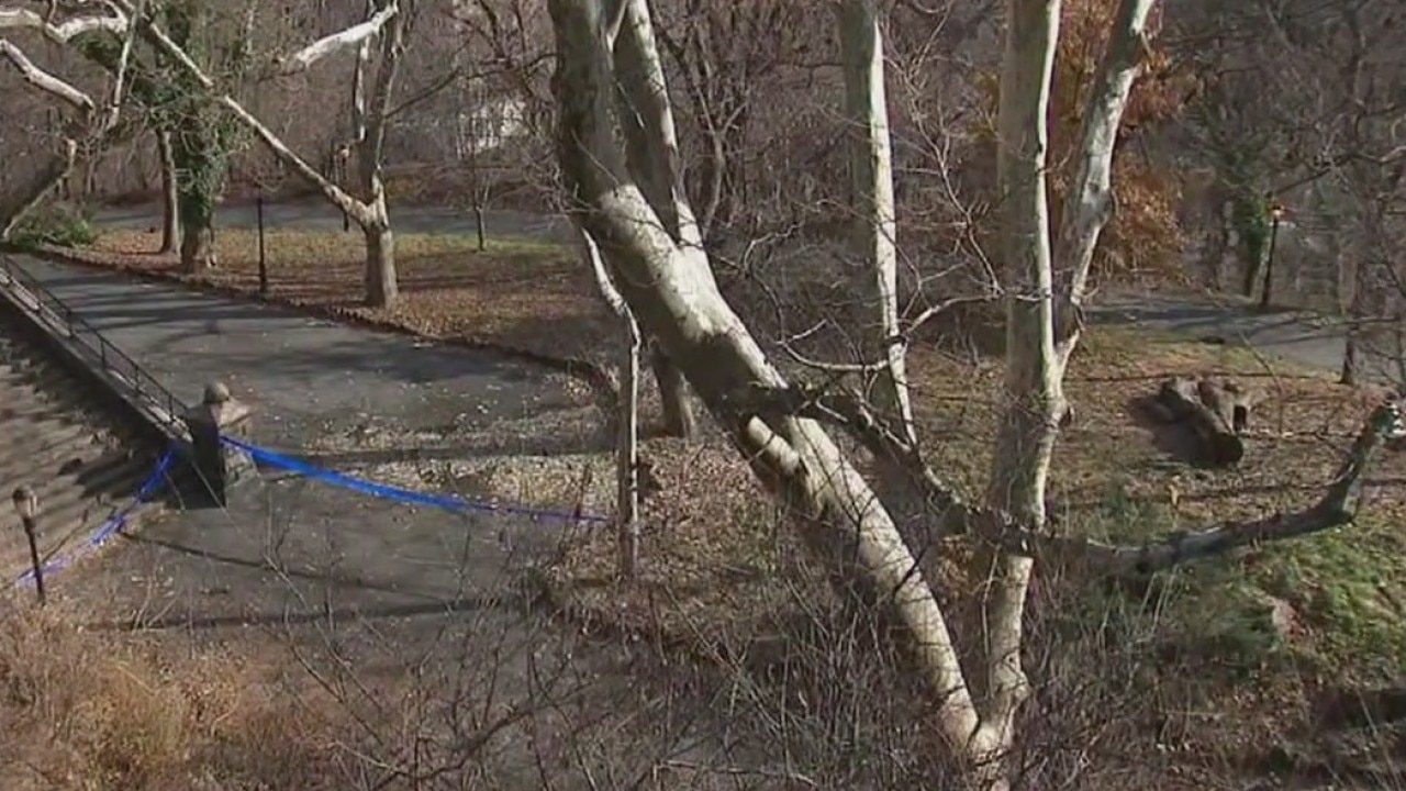 Morningside Park murder probe