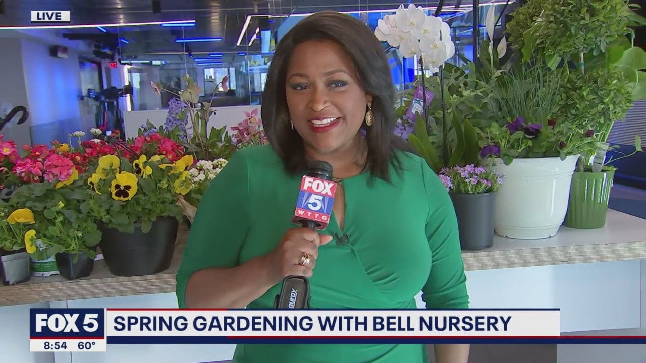 Spring gardening
