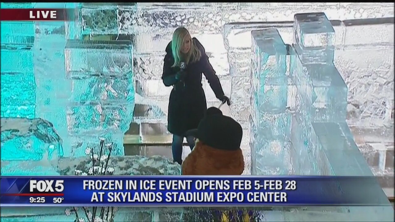 Frozen in Ice