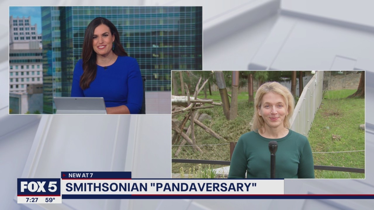 National Zoo celebrates "Pandaversary"