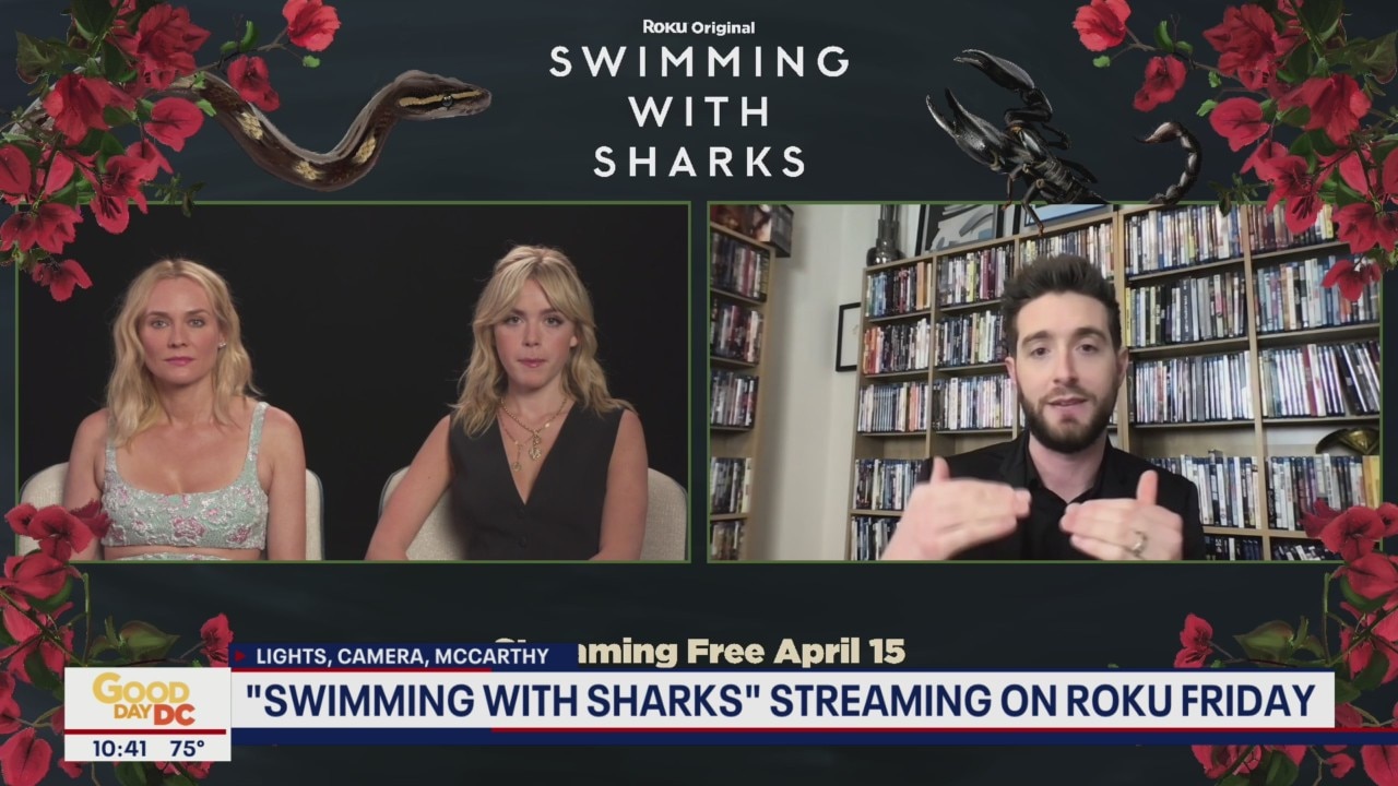 "Swimming with Sharks" stars talk new TV series