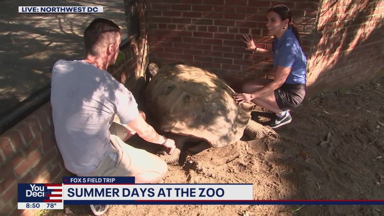 FOX 5 FIELD TRIP: Hanging with tortoises at the National Zoo