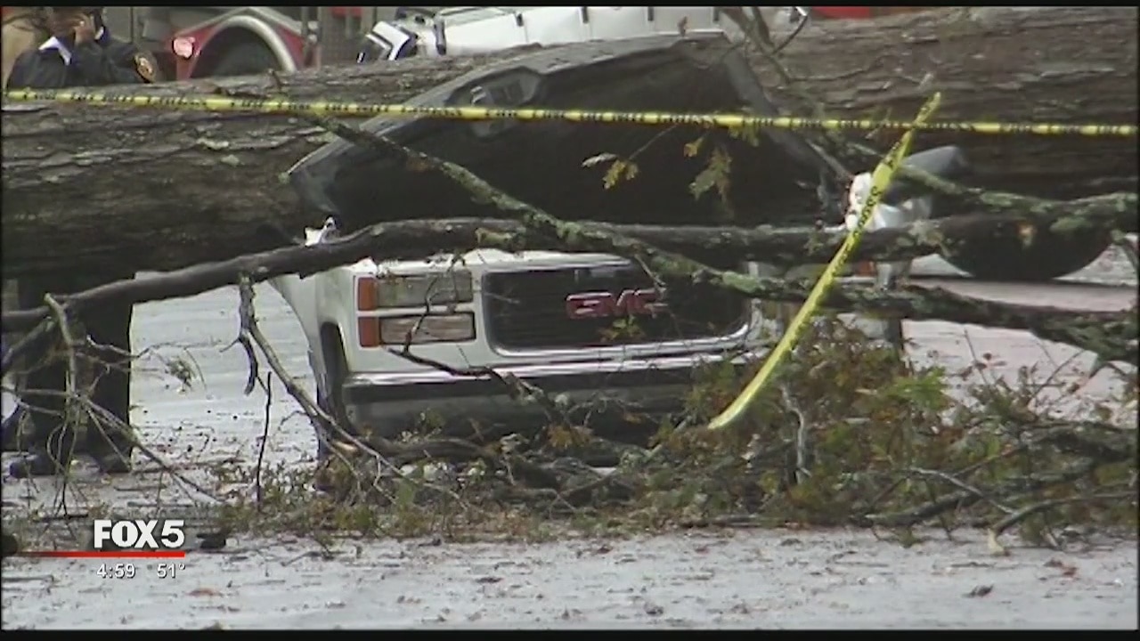 Tree Kills Man in Truck
