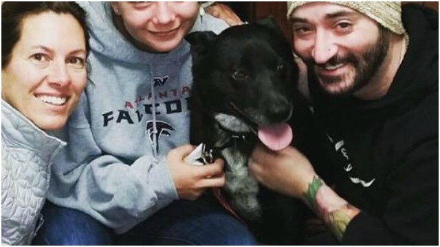 Bear finally goes home for Thanksgiving