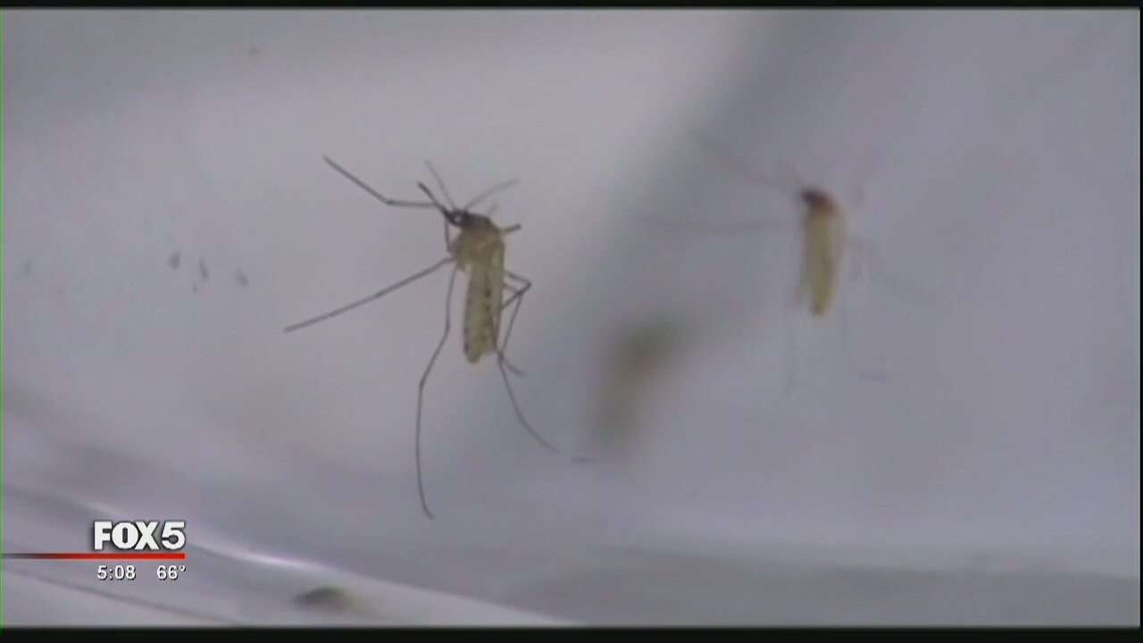 Nearly 300 pregnant women in US, territories infected by Zika Virus